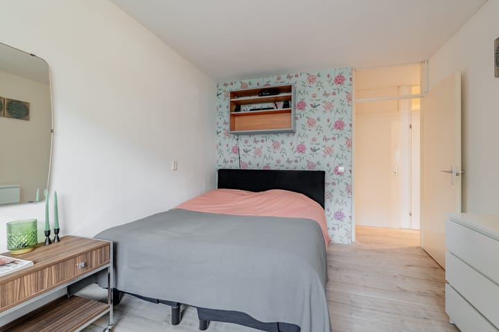 Foto 17 van Havikskruid 8