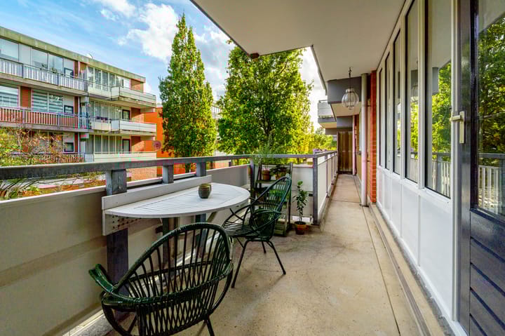 Foto 11 van Havikskruid 8