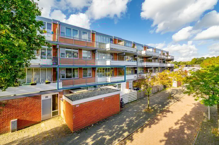 Foto 27 van Havikskruid 8