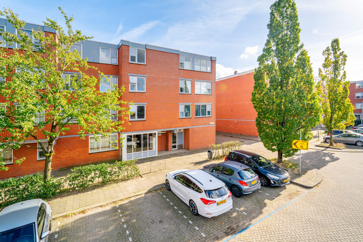 Foto 28 van Havikskruid 8