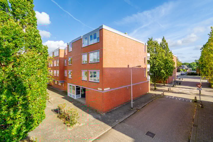 Foto 29 van Havikskruid 8