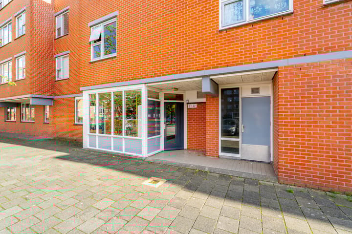 Foto 30 van Havikskruid 8