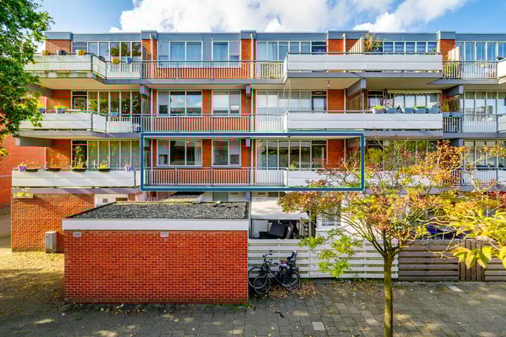 Foto 31 van Havikskruid 8