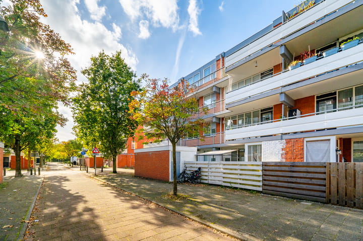 Foto 32 van Havikskruid 8