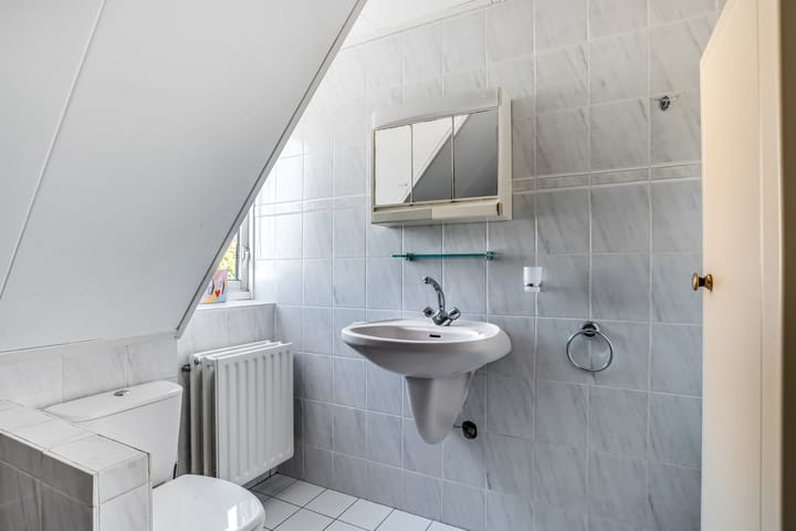 Foto 18 van Sterappel 9