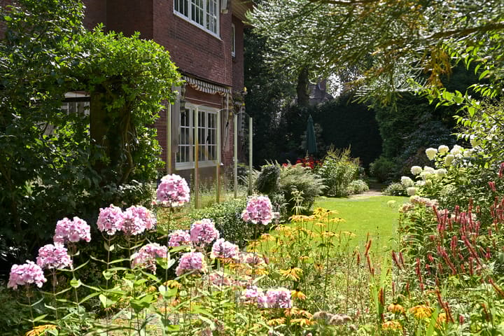 Foto 38 van Duinvoetlaan 7