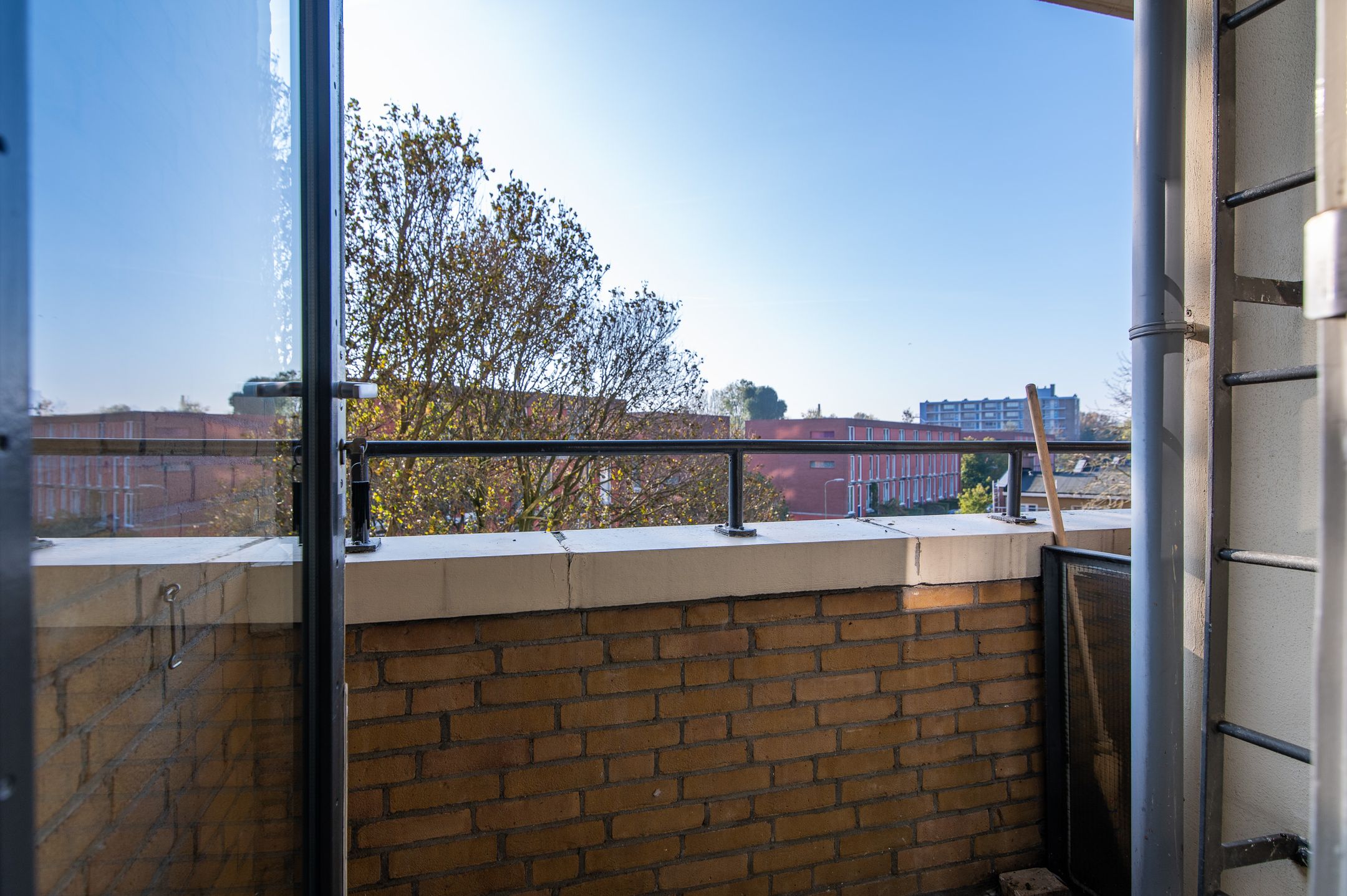 Foto 12 van Hongarenburg 86