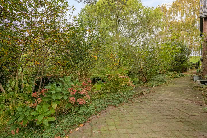 Foto 48 van Waalbandijk 155