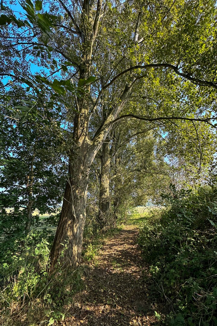 Foto 90 van Brinkhoekweg 2