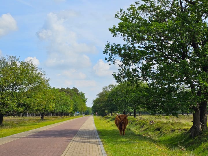 Foto 36 van Palmbosweg 7