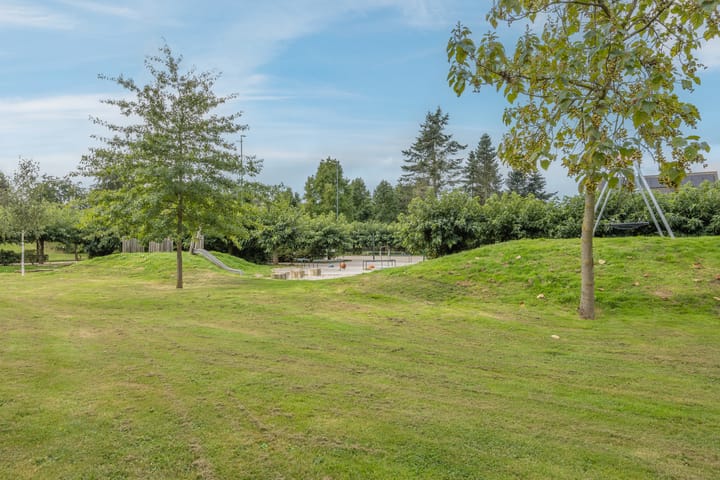 Foto 40 van Heggerank 77