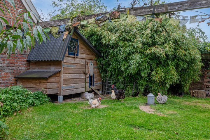 Foto 65 van Dalweg 25