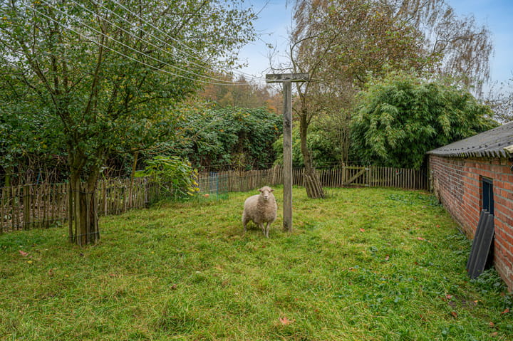 Foto 69 van Dalweg 25