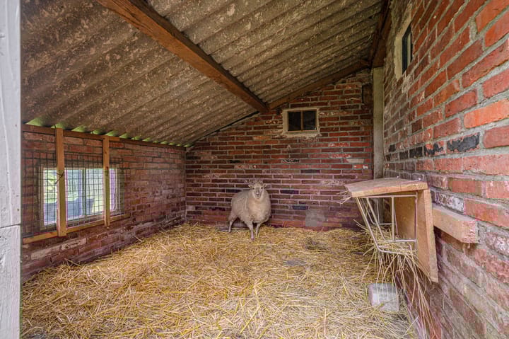 Foto 71 van Dalweg 25