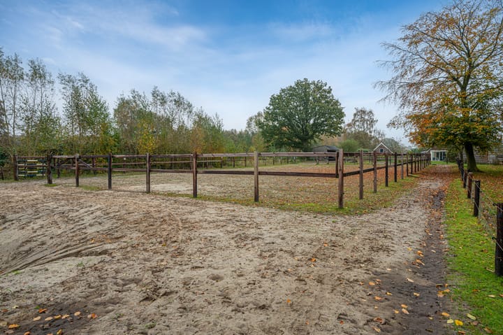 Foto 87 van Dalweg 25