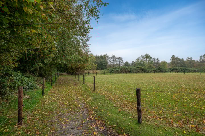 Foto 89 van Dalweg 25