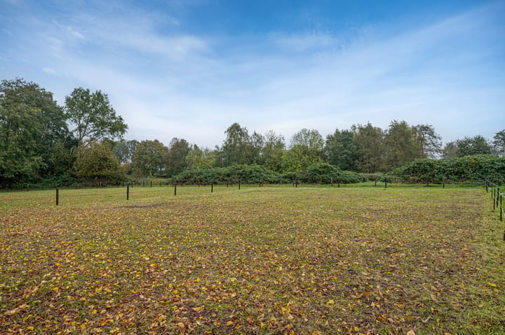 Foto 91 van Dalweg 25