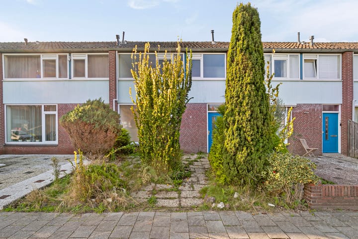 undefined main image
