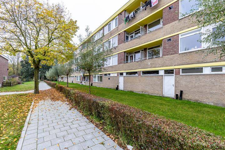 View photo 31 of Spaanse Aakstraat 59