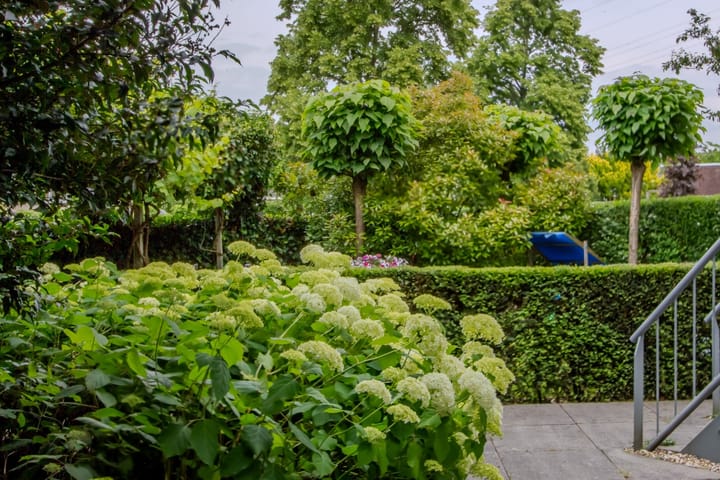 Foto 36 van Rivierdijk 199