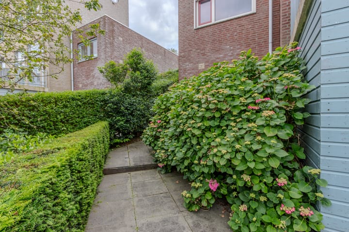 Foto 39 van Rivierdijk 199