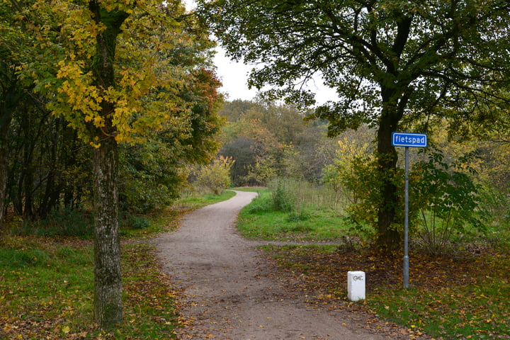 Bekijk foto 20 van Aardjesberg 31