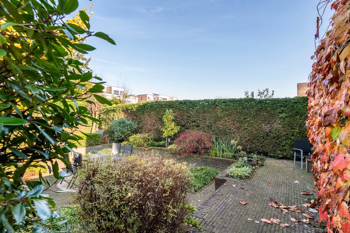 Foto 32 van Akelei 32