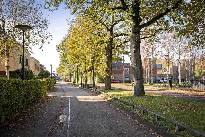 Bekijk foto 32 van Pieter Klaarhamerstraat 38