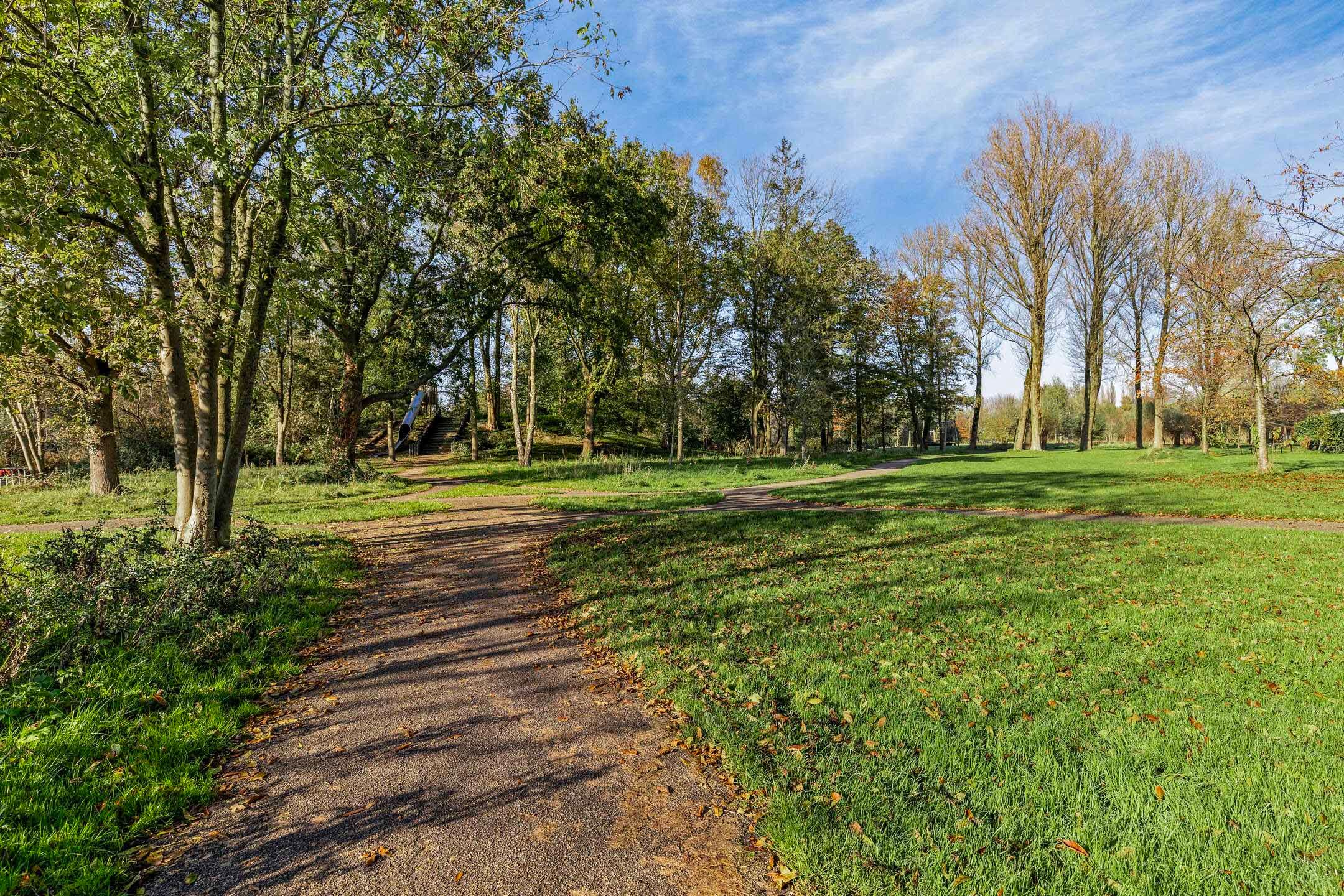 Photo 33 of Treilerstraat 54