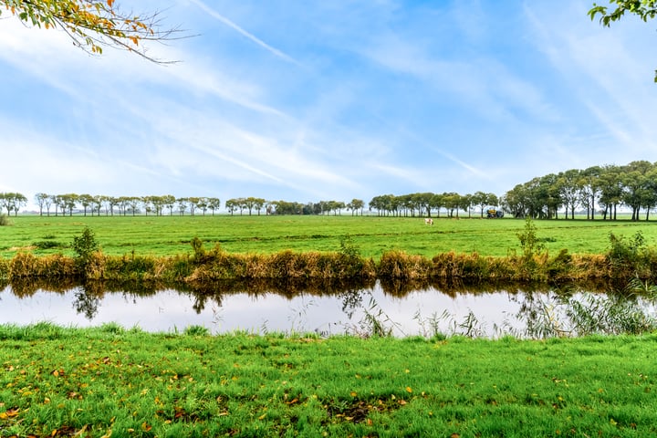 Bekijk foto 40 van Noorderstraat 28