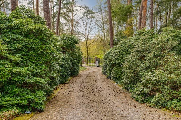 Bekijk foto 46 van Vlasrootlaan 1