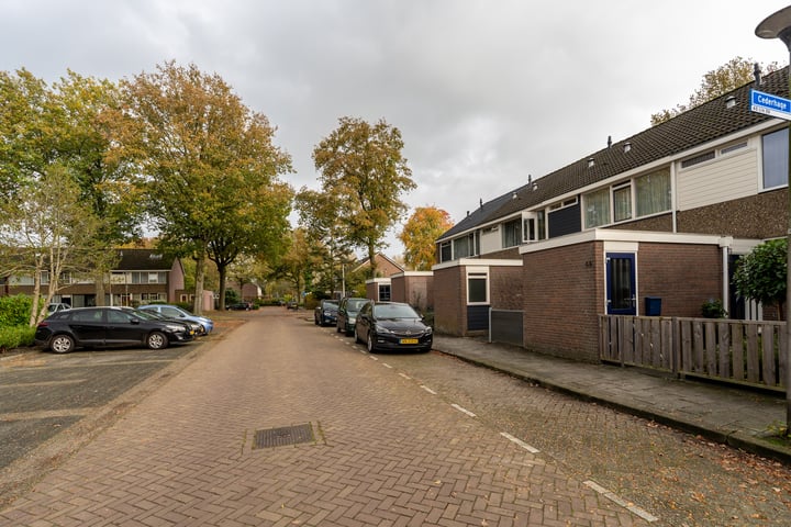 Bekijk foto 47 van Cederhage 46