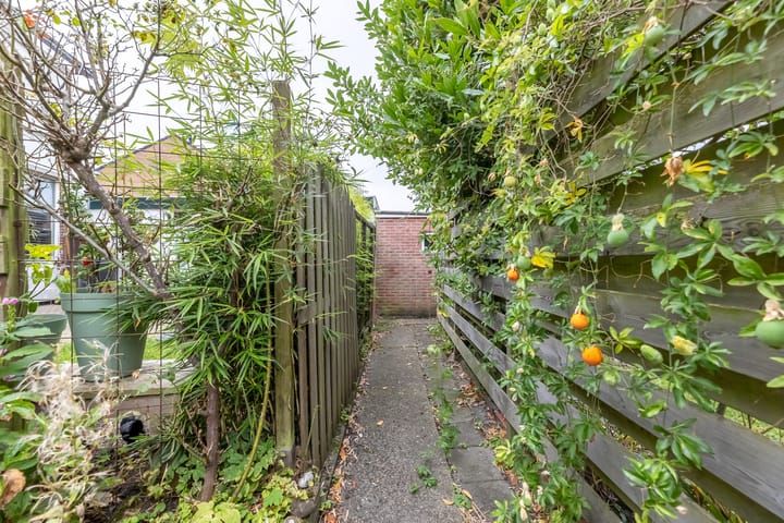 Foto 17 van Padweg 28