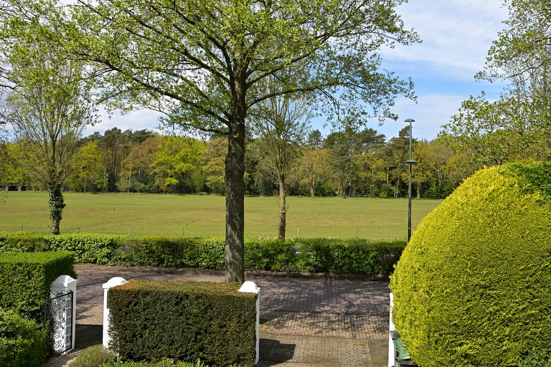 Photo 38 of Wittenburgerweg 124