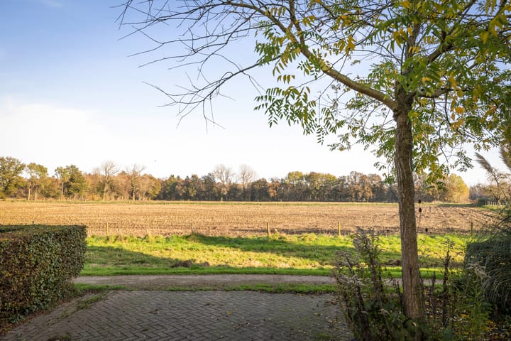 Foto 4 van Piet Zwartstraat 7