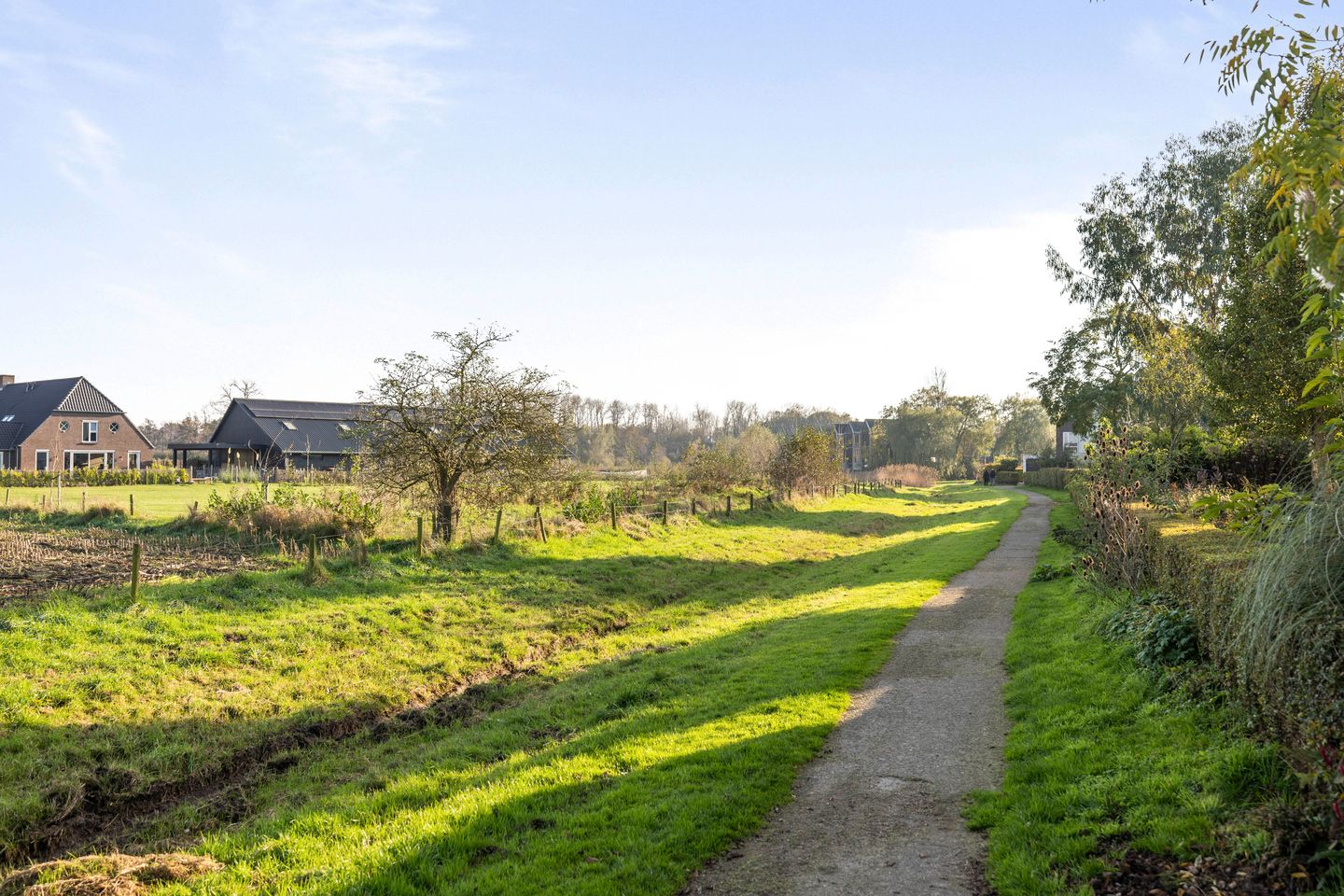 Foto 5 van Piet Zwartstraat 7