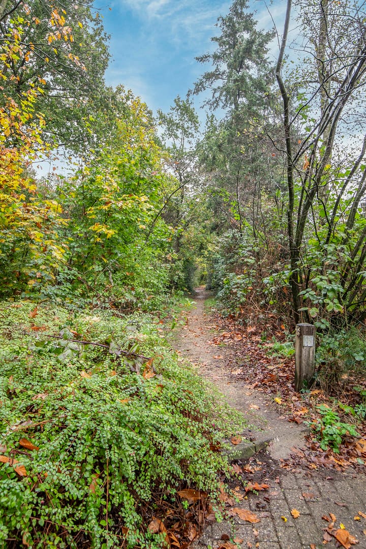 Foto 39 van Meijerijhof 15