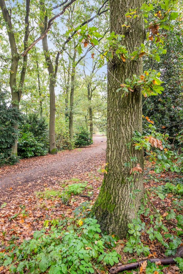 Foto 40 van Meijerijhof 15