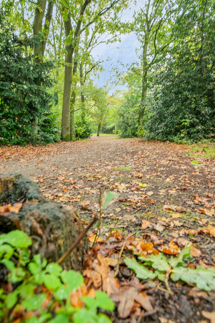 Foto 41 van Meijerijhof 15