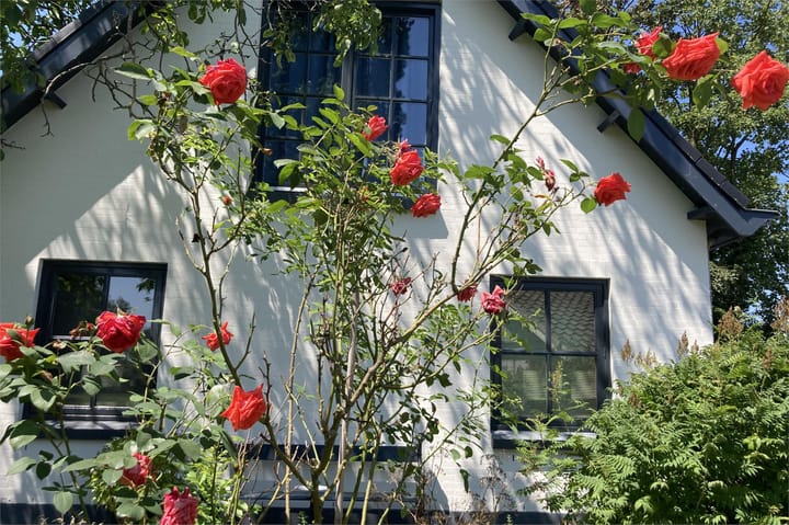 Foto 39 van Hagoort 25