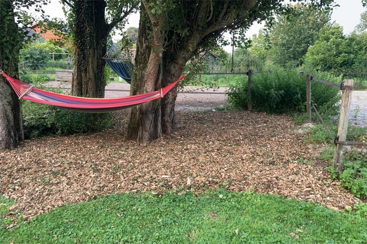 Foto 62 van Hagoort 25