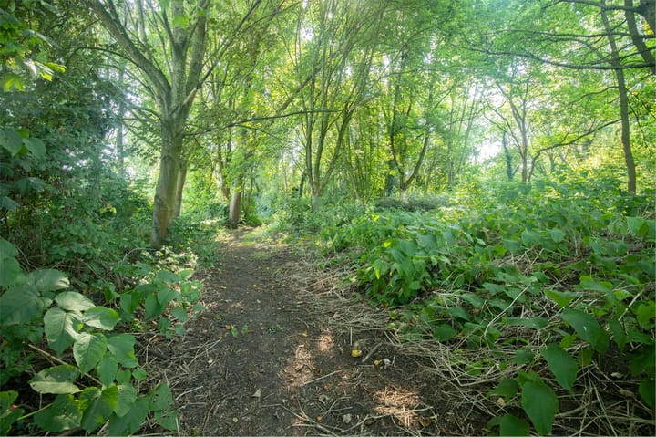 Foto 66 van Hagoort 25