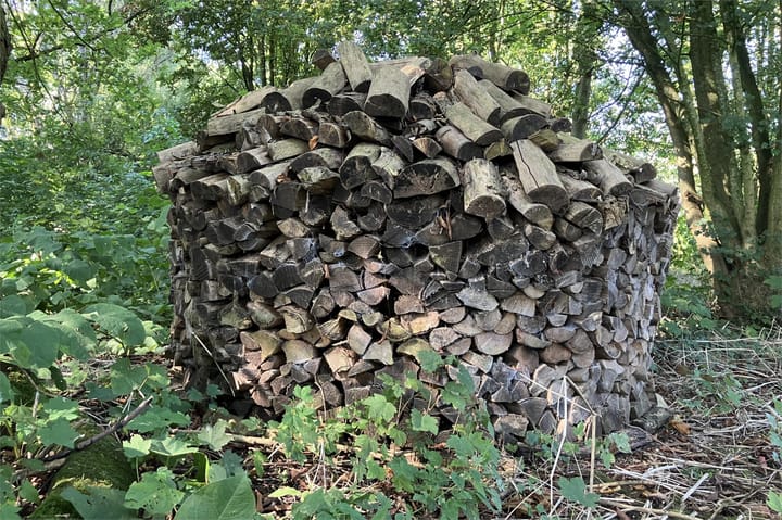 Foto 67 van Hagoort 25