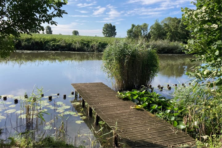 Foto 69 van Hagoort 25