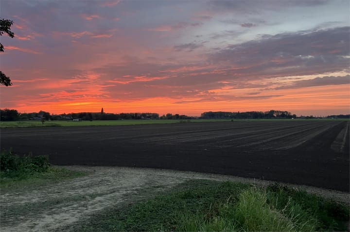 Foto 73 van Hagoort 25