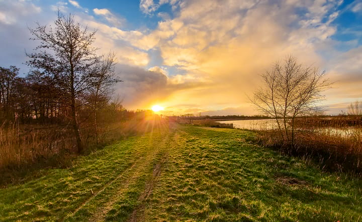 Foto 5 van De Wâl 53