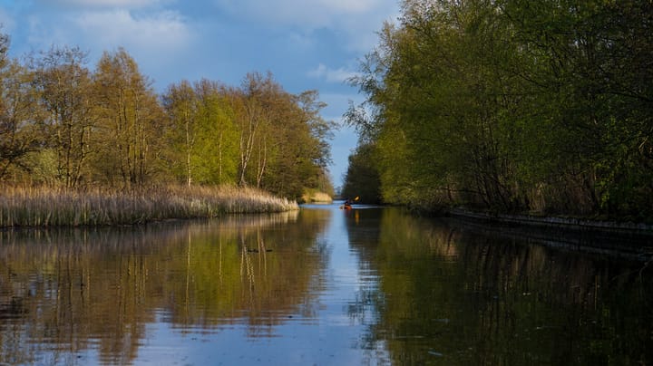 Foto 4 van De Wâl 53