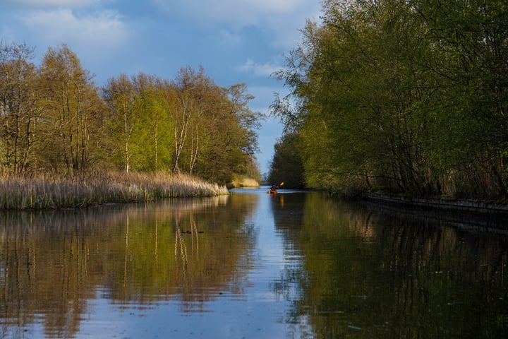 Bekijk foto 4 van De Wâl 53