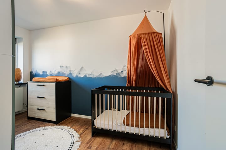 Foto 30 van Abrikozenstraat 32