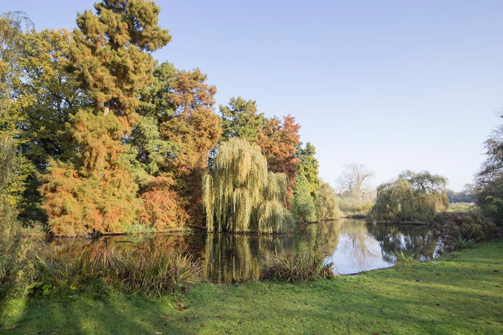 Bekijk foto 27 van Amstelveenseweg 151-1